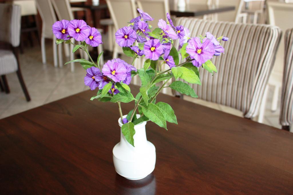 Hotel Cariatis Nea Kallikrateia ภายนอก รูปภาพ